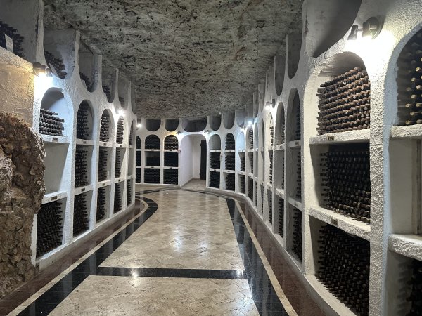 Снимки: Нели Христова